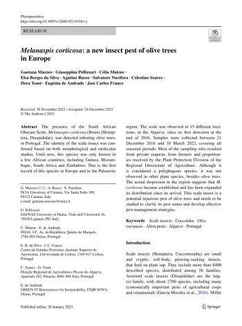 Melanaspis corticosa: a new insect pest of olive trees in ... Imagem 1