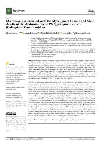 Microbiome Associated with the Mycangia of Female and Male ... Imagem 1