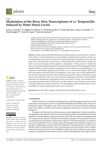 Modulation of the Berry Skin Transcriptome of cv. ... Imagem 1