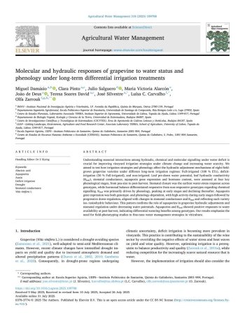 Molecular and hydraulic responses of grapevine to water ... Imagem 1