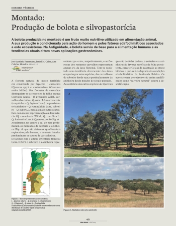 Montado: Produção de bolota e silvopastorícia Imagem 1