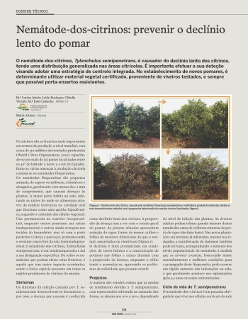 Nemátode-dos-citrinos: prevenir o declínio lento do pomar Imagem 1