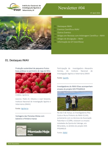 INIAV - Newsletter Externa nº 04/2026 Imagem 1