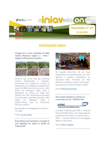 INIAV - Newsletter Externa nº 07/2023 Imagem 1