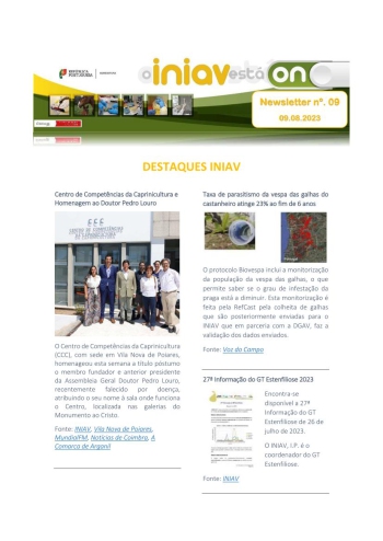 INIAV - Newsletter Externa nº 09/2023 Imagem 1