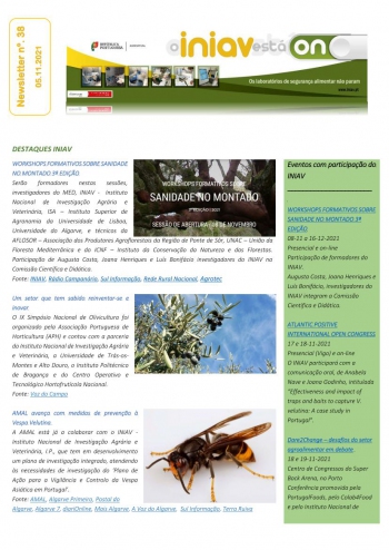 INIAV - Newsletter Semanal nº 38/2021 Imagem 1