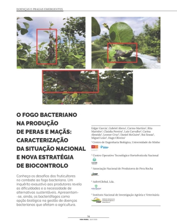 O FOGO BACTERIANO NA PRODUÇÃO DE PERAS E MAÇÃS: ... Imagem 1