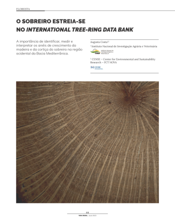 O SOBREIRO ESTREIA-SE NO INTERNATIONAL TREE-RING DATA BANK Imagem 1