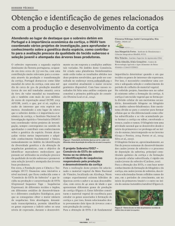 Obtenção e identificação de genes relacionados com a ... Imagem 1