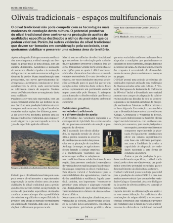 Olivais tradicionais – espaços multifuncionais Imagem 1