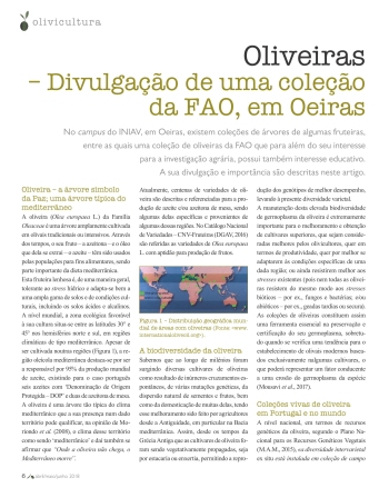 Oliveiras – Divulgação de uma coleção da FAO, em Oeiras Imagem 1