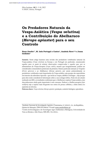 Os Predadores Naturais da Vespa-Asiática (Vespa velutina) e ... Imagem 1