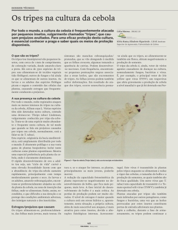 Os tripes na cultura da cebola Imagem 1