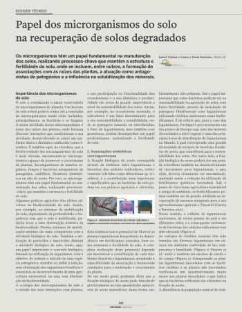 Papel dos microrganismos do solo na recuperação de solos ... Imagem 1