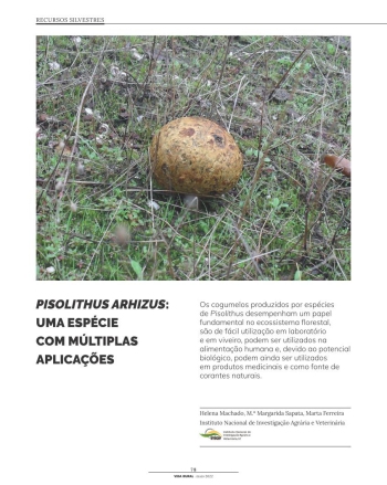 PISOLITHUS ARHIZUS: UMA ESPÉCIE COM MÚLTIPLAS APLICAÇÕES Imagem 1