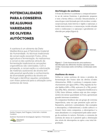 POTENCIALIDADES PARA A CONSERVA DE ALGUMAS VARIEDADES DE ... Imagem 1