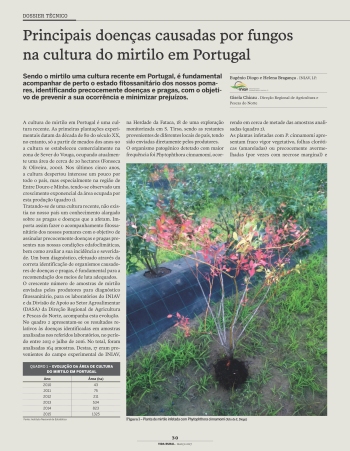 Principais doenças causadas por fungos na cultura do ... Imagem 1