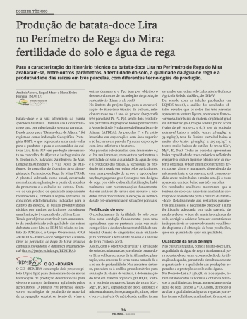 Produção de batata-doce Lira no Perímetro de Rega do Mira: ... Imagem 1