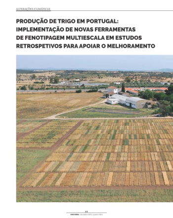 PRODUÇÃO DE TRIGO EM PORTUGAL: IMPLEMENTAÇÃO DE NOVAS ... Imagem 1