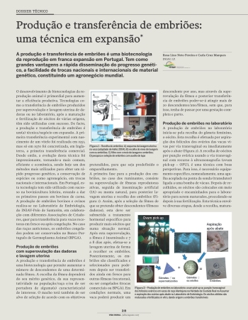 Produção e transferência de embriões: uma técnica em ... Imagem 1