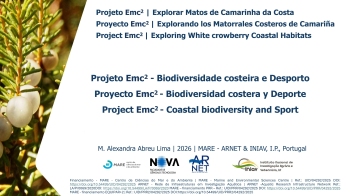 Projeto Emc2 - Biodiversidade costeira e Desporto Imagem 1