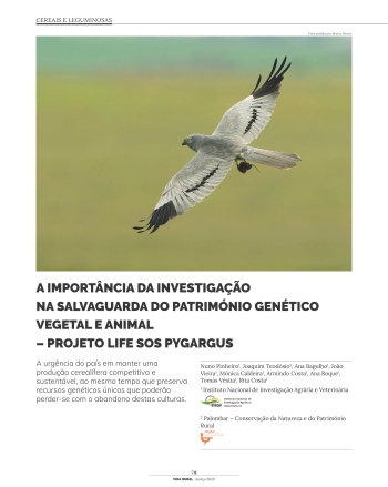 A IMPORTÂNCIA DA INVESTIGAÇÃO NA SALVAGUARDA DO PATRIMÓNIO ... Imagem 1