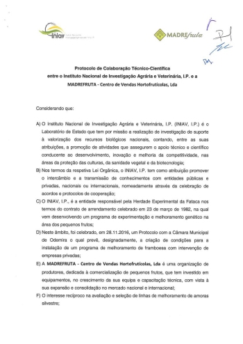 Protocolo de Colaboração Técnico Cientifico entre o INIAV e ... Imagem 1