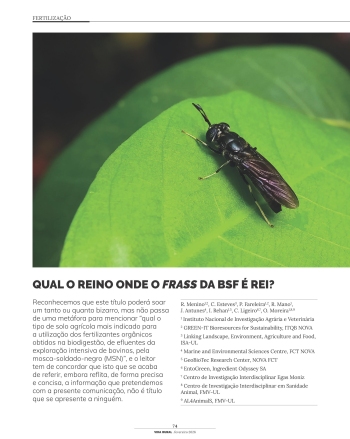 QUAL O REINO ONDE O FRASS DA BSF É REI? Imagem 1