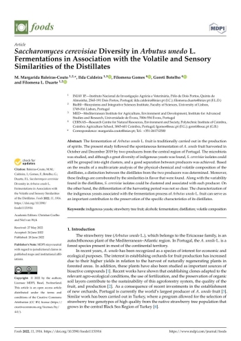 Saccharomyces cerevisiae Diversity in Arbutus unedo L. ... Imagem 1