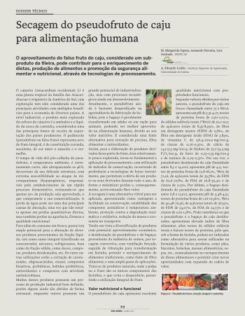 Secagem do pseudofruto de caju para alimentação humana Imagem 1