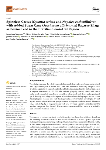 Spineless Cactus (Opuntia stricta and Nopalea ... Imagem 1