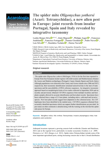 The spider mite Oligonychus yothersi (Acari: ... Imagem 1