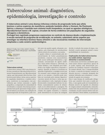 Tuberculose animal: diagnóstico, epidemiologia, ... Imagem 1
