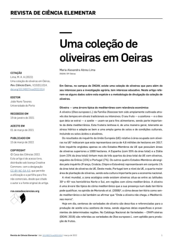 Uma coleção de oliveiras em Oeiras Imagem 1