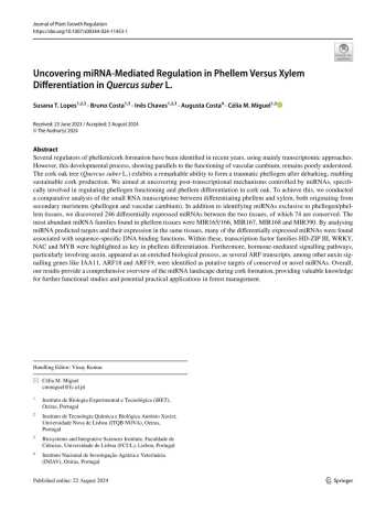 Uncovering miRNA-Mediated Regulation in Phellem Versus ... Imagem 1