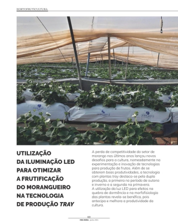 UTILIZAÇÃO DA ILUMINAÇÃO LED PARA OTIMIZAR A FRUTIFICAÇÃO ... Imagem 1