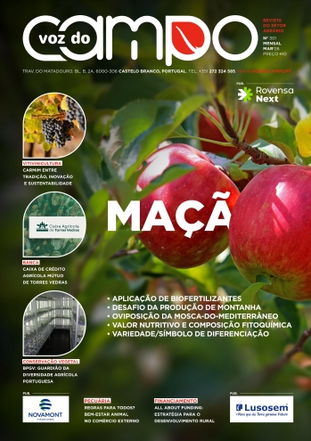 Regras para todos? A visão dos europeus sobre o bem-estar ... Imagem 1