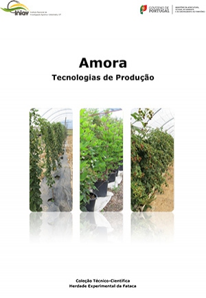 Amora - Tecnologias de Produção Imagem 1