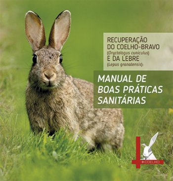 Recuperação do Coelho-Bravo (Oryctolagus cuniculus) e da ... Imagem 1