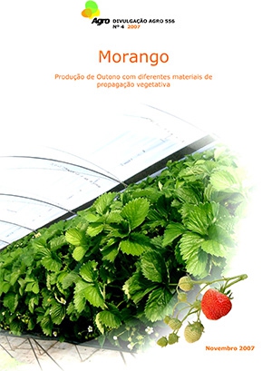 Morango - Produção de Outono com diferentes materiais de ... Imagem 1