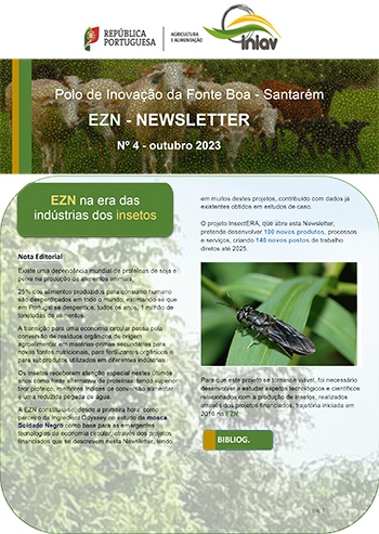 EZN – NEWSLETTER Nº 4 Imagem 1