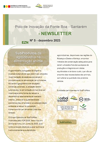 EZN – NEWSLETTER Nº 5 Imagem 1