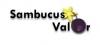 Sambucus Valor - Valorização integrada do sabugueiro em ... Imagem 1