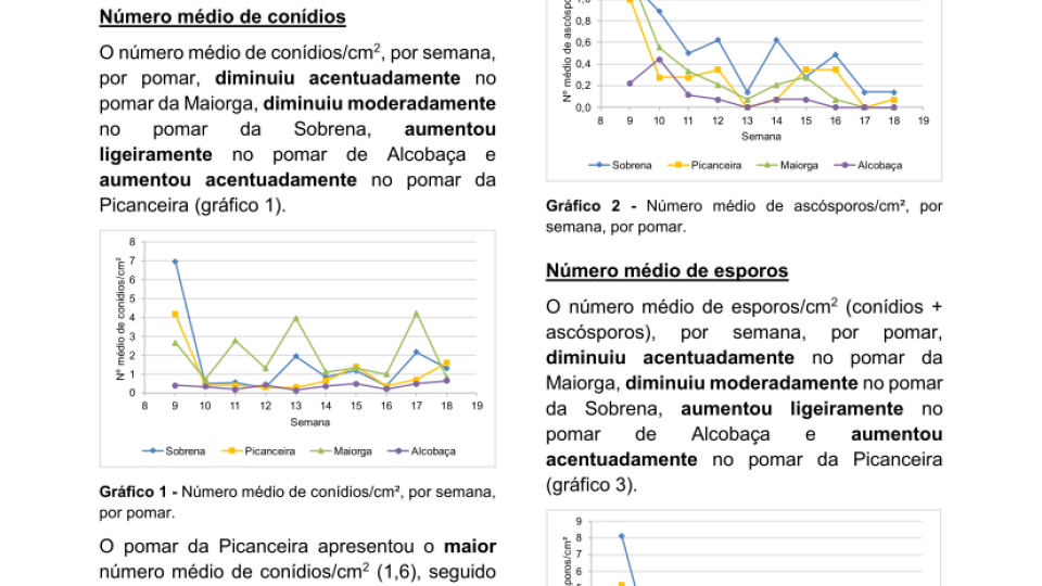14ª Informação do GT Estenfiliose 2025