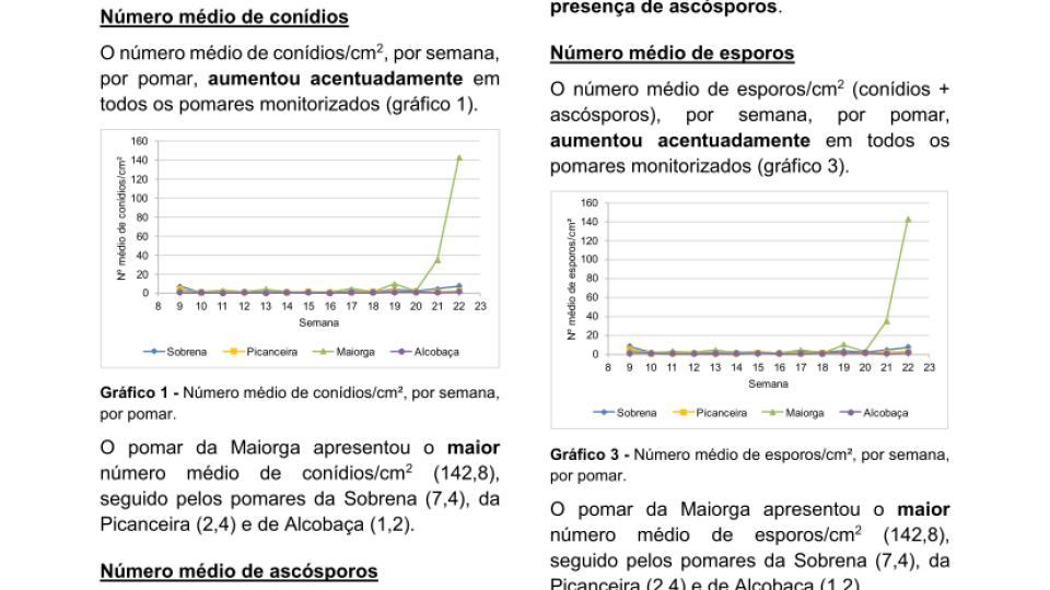 18ª Informação do GT Estenfiliose 2025