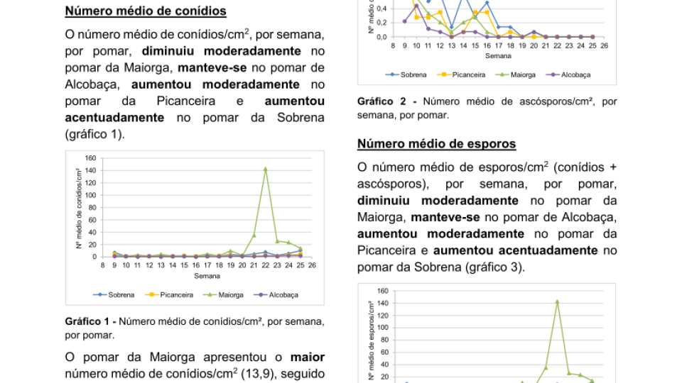 21ª Informação do GT Estenfiliose 2025