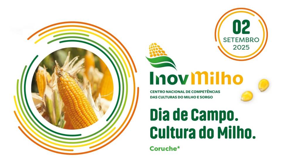 Dia de Campo - InovMilho 2025