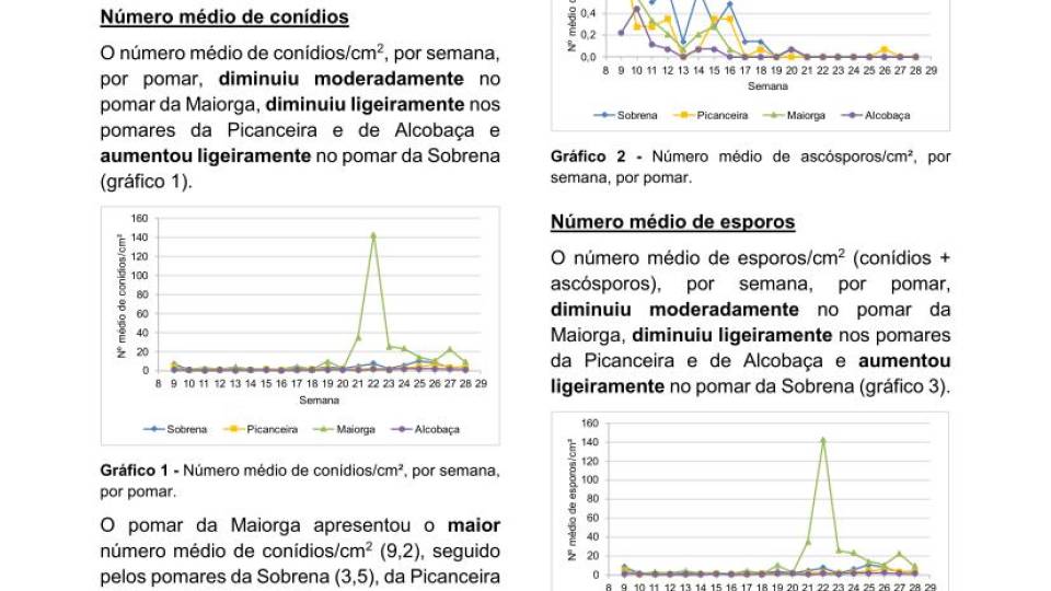 24ª Informação do GT Estenfiliose 2025
