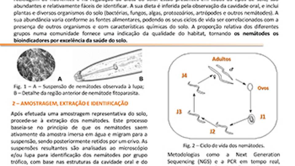 Boletim Técnico n.º 1/2025 - 