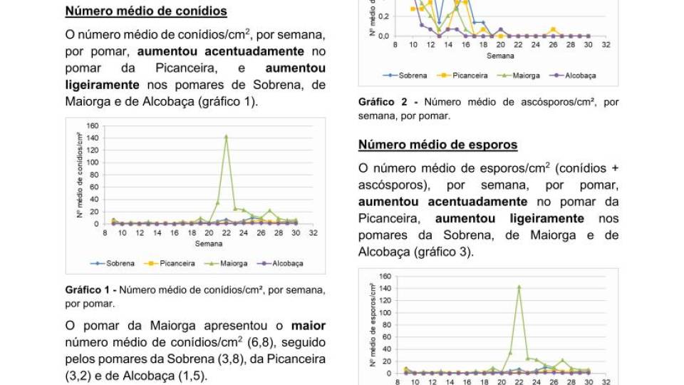 26ª Informação do GT Estenfiliose 2025